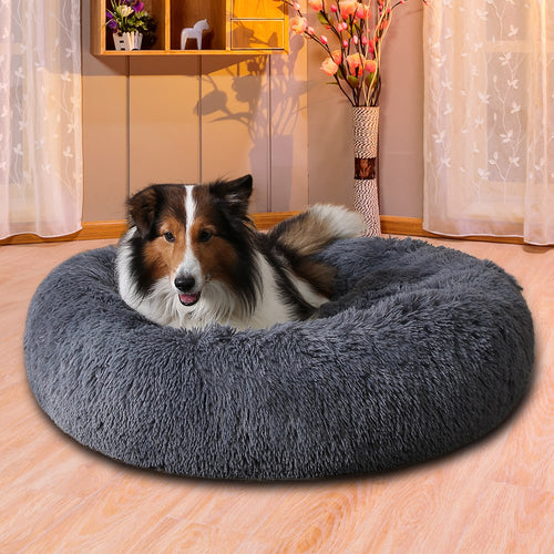 Dog relaxing in the CloudHug calming bed