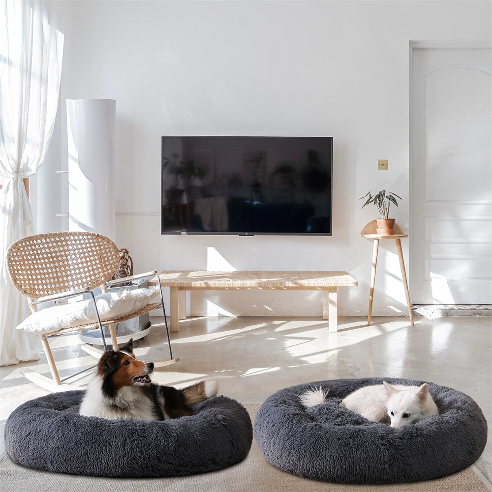 CloudHug calming beds in a bright living room with two dogs