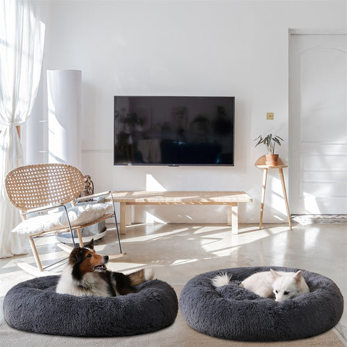 CloudHug calming beds in a bright living room with two dogs
