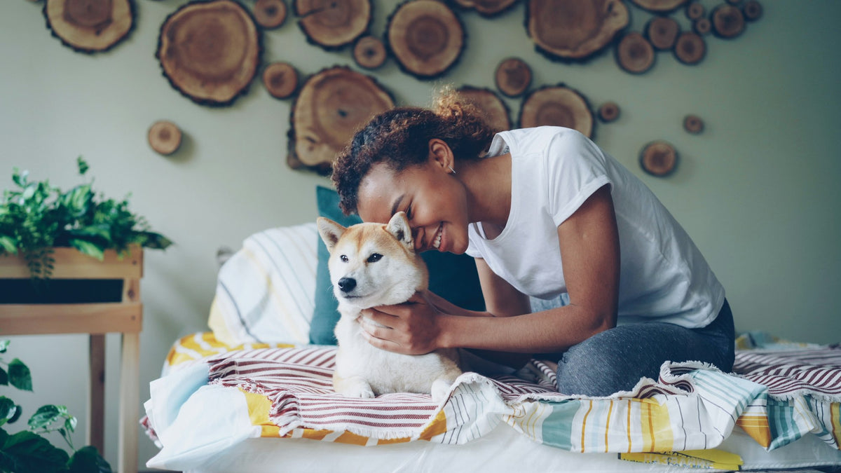 Pet parent cuddling her dog on a cozy bed
