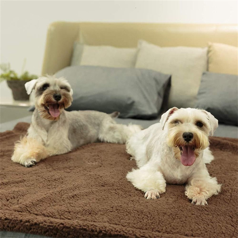 Two dogs on a brown sherpa throw on the bed